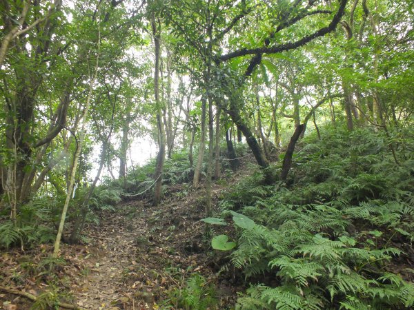百二階古道+苕谷瀑布+逸仙山+泰和樓2734456