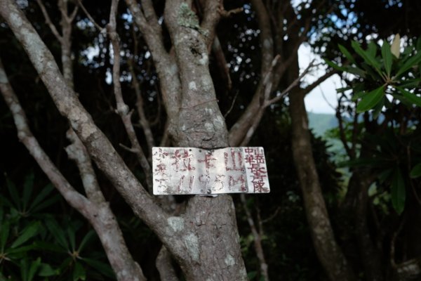 桃園復興區  東卡O縱2823831