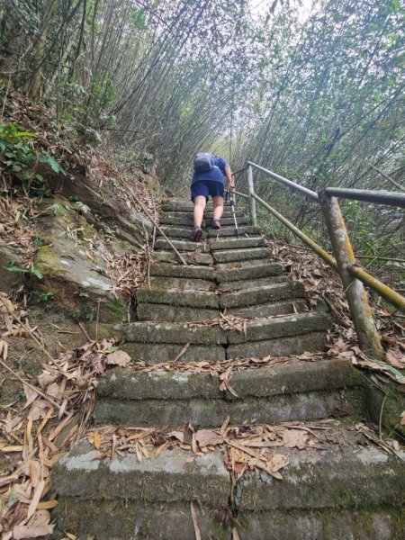 大湖尖山(順遊半天岩紫雲寺‧飲冰柿茶集‧曾記涼泉芳冰店)1351499