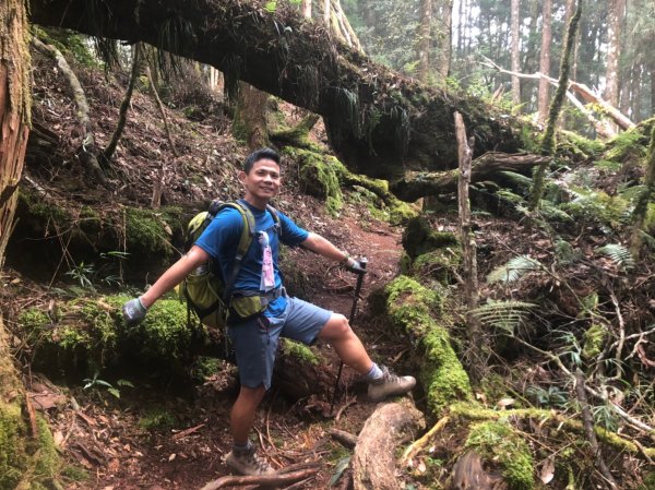 鹿屈山.水漾森林1405029