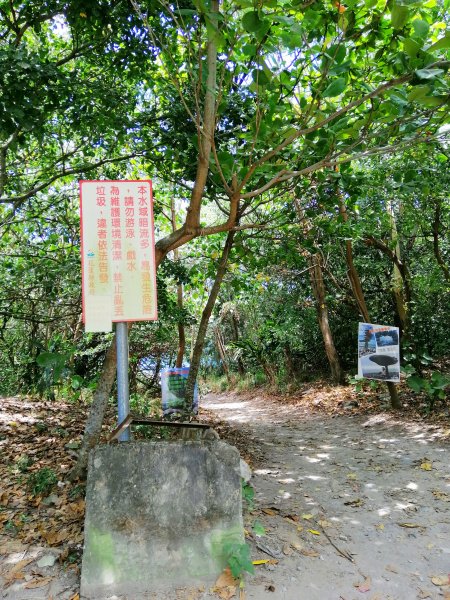 花蓮新城~花蓮的海藍的太迷人~曼波海灘1084407