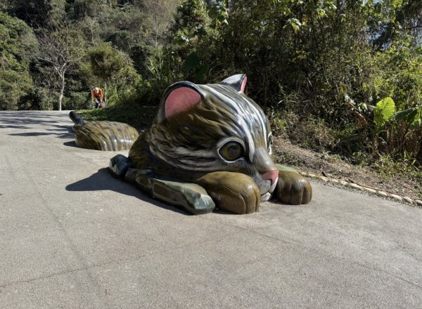 雪山坑登山步道尋巨人2978485