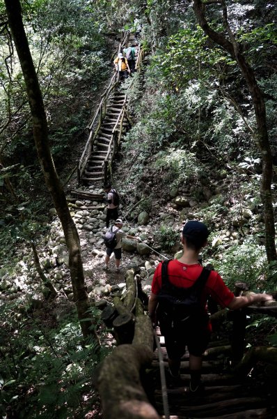 大坑1號步道2865260