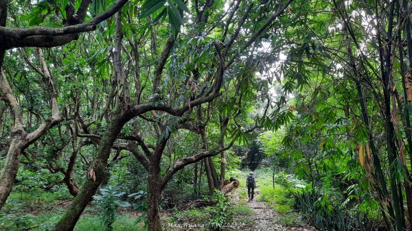 《彰化》果園古道｜廣天宮隴頂古道到鳳山寺O繞202509142884040