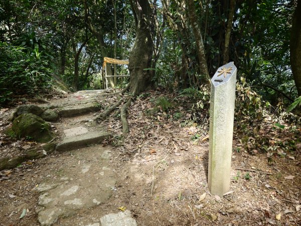 [淡蘭古道] 2026_0523 南路第一段_妙高台步道3069512