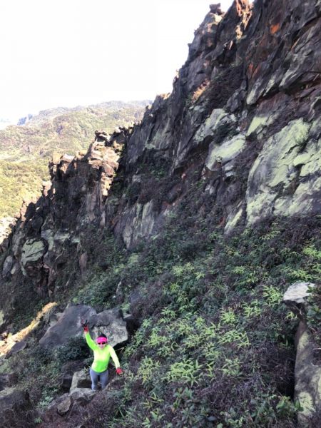 1070311 黃金五稜-劍龍嶺285355