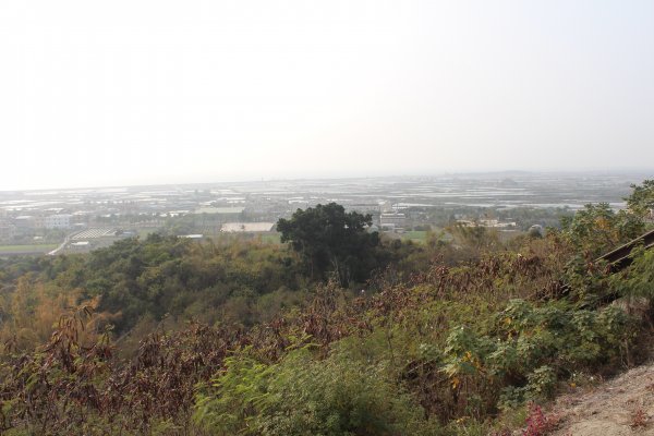 20180217漯底山自然公園步道817679