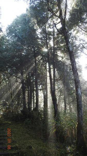 再衝太平山賞日出/雲海雲瀑同框&霧虹觀音圈同框&首登望洋山1/81986382