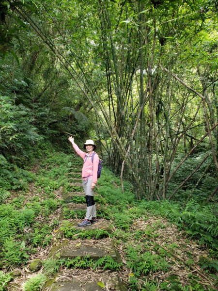 微笑山線：【五分山系】平溪小黃山段2839520