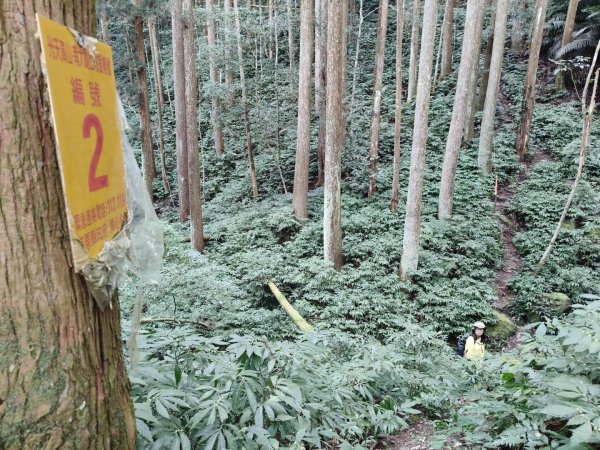 向天湖三山+ 南大龜山3012324