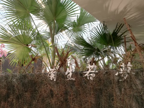 台中花博~后里馬場、花舞館550933