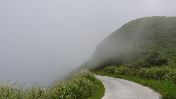 燦光寮山登山健行趣(郊山)1573254