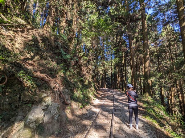 幾乎包場的兒玉山(自忠山)走東水山接特富野古道2548657