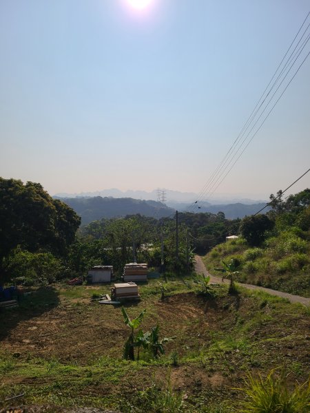 省議會後山步道2730846