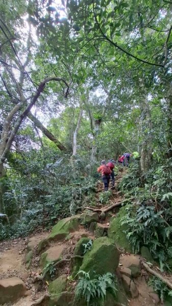 大艽芎古道縱走 新/溪州山(小百岳#23) 出溪州公園2893915