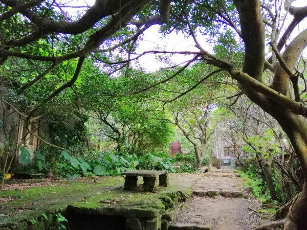 盡攬山海景迷人景緻。南子吝登山步道754308