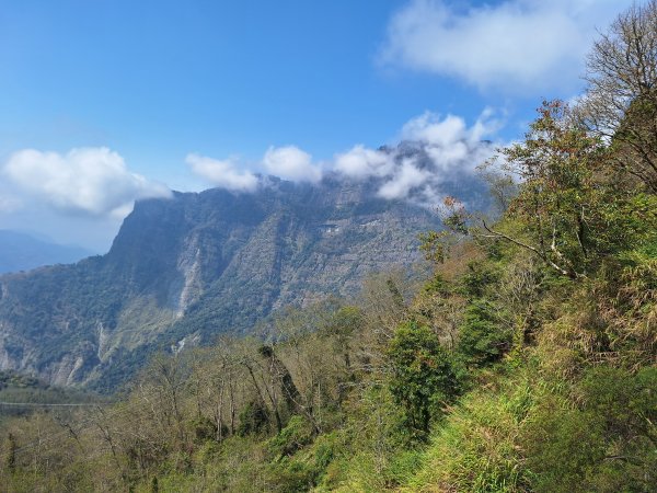 二萬坪山+屏遮那山+二萬坪神木區2440000