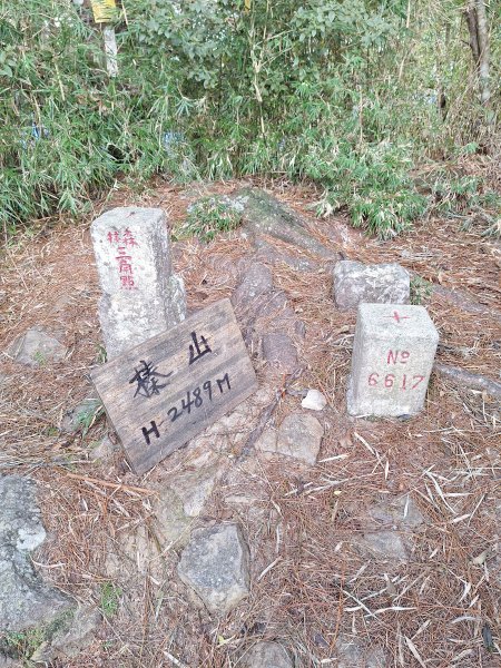 觀霧之榛山O型202411232653930