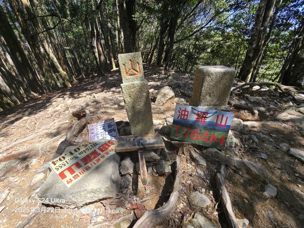 2025-03-22油羅山步道2743427