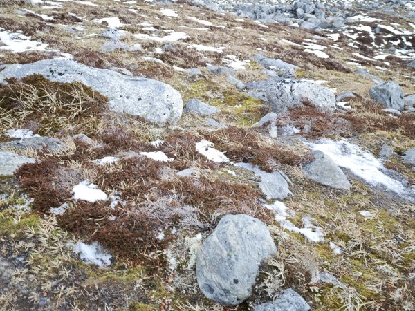 [紐約馬之行-47] 2025_1108 努克環狀步道 4/52951466