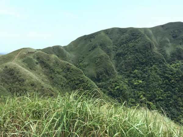 桃源谷步道142343