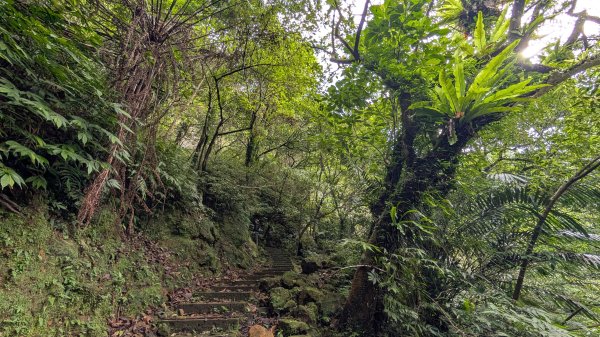 114.11.15平溪小黃山段-望古瀑布段之旅2937790