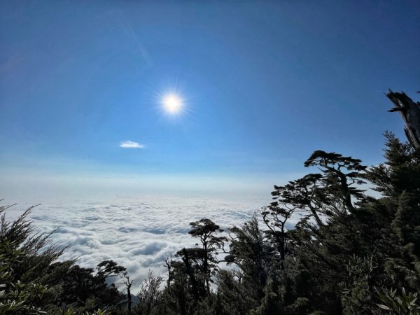 見證最美麗北大武山雲海、鐵杉1318811