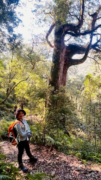 🌈3/14（六）赫威神木群+赫威山✨FB：熊熊趴爬走🌈3015386