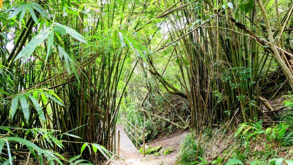 暖東峽谷大環小環2834411