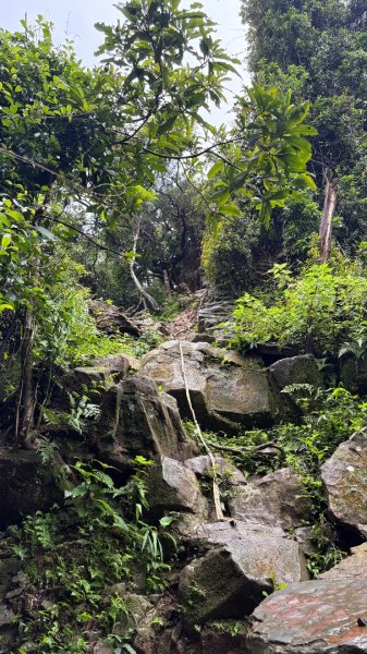 大雨後🙄2845407