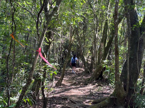 五分山系-望古瀑布段2896299