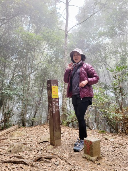 雪見大板根-202502222859804