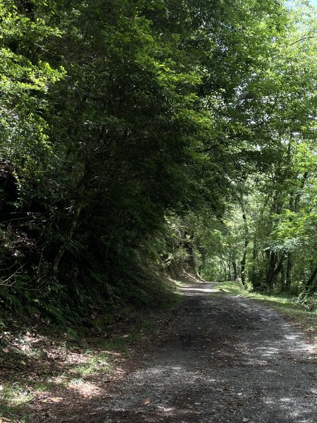 大霸群峰 2025 05/30 三天兩夜2866049