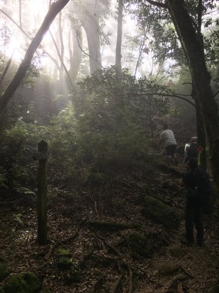 【萬丈光芒-加里山】媲美電影戰地般奇景974207