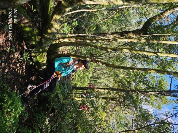 20260104源茂山.源茂山西峰.和尚髻山O走+親水觀魚步道2977722