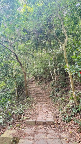 1140419鳴鳳古道2765872