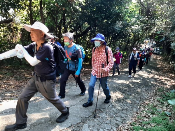 【小百岳集起來】樹林大同山、青龍嶺、大棟山連走鶯歌石步道、孫龍步道1479256