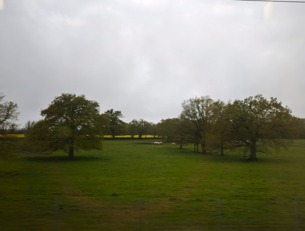 2025_0424 倫敦馬拉松順遊西歐 D6a(法國到義大利-阿爾卑斯山)2792054