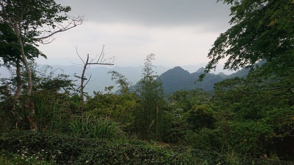 梅峰古道+獵鷹尖一線天+伍龍步道938480