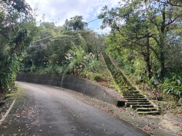 雙溪區聖南寺朝山古道+大竹林山(未果)2963587