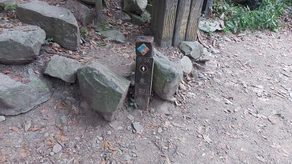 東卯山頂野營體驗 夕陽 星空 日出一次滿足1855396