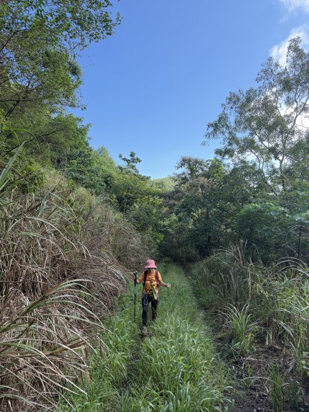 加奈美山 (開車富南上至2K水泥路尾起登)202609063118754