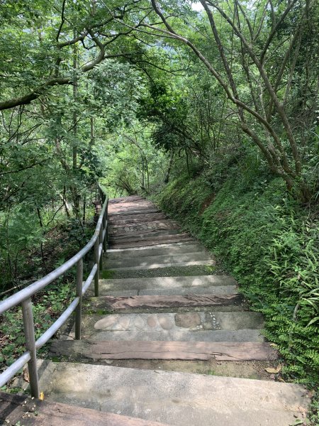 20240608高雄北旗尾南山-北旗尾山-旗尾山2523592