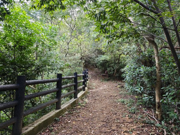 [皮皮獅動物派對-03/10] 2026_0822 石光古道(老虎山步道)3120810