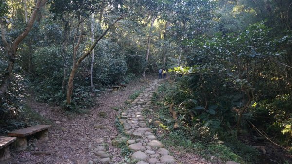 打鐵寮 草嶺山 石龜坑山 白石山連走1265211