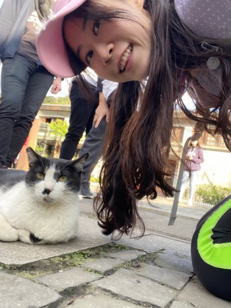 瀑布 樹陰 軌道與貓1277522