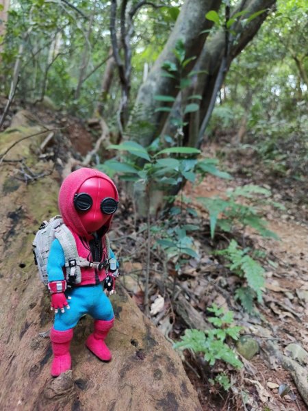 2023.11.01 蓮華山古道群2489019