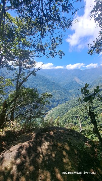 2024.8.3  (苗栗南庄)三角湖山+向天湖山2573927