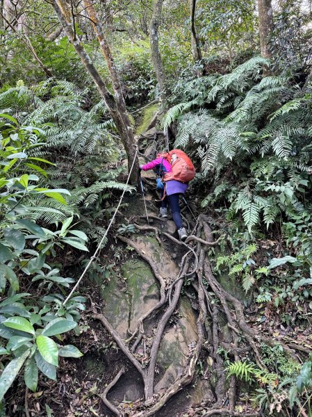 金面山-202503192770608