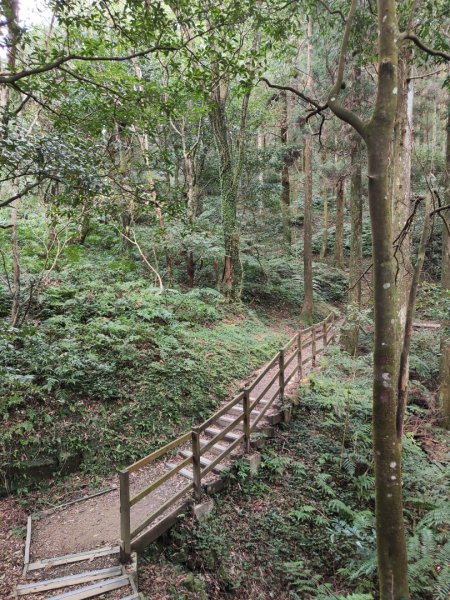 2023.12.27 東眼山2838857